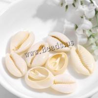 Trumpet Shell Beads, DIY & different size for choice, more colors for choice, Sold By KG