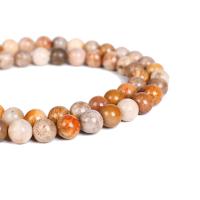 Chrysanthemum Stone Beads Round DIY Sold Per Approx 15 Inch Strand