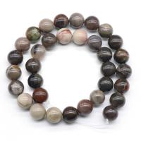 Silicified Wood Beads Round polished DIY Sold Per Approx 15.7 Inch Strand