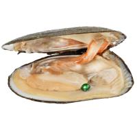 Edison Pearl Wish Pearl Oyster 120*130*100mmuff0c11-13mm Sold By PC
