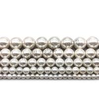 Natürliche Süßwasser Muschel Perlen, poliert, DIY & verschiedene Größen vorhanden, verkauft von Strang