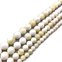 Natural Freshwater Shell Beads polished DIY Sold By Strand