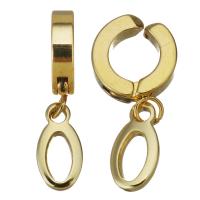 Acier inoxydable Levier Retour Earring, Placage, bijoux de mode & pour femme, 3x15mm,6.5x12.5mm, Vendu par paire