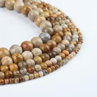 Gemstone smykker perler, Chrysanthemum Stone, Runde, dyb orange, 98/Strand, Solgt af Strand