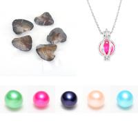 Edison Pearl Wish Pearl Oyster multi-colored 7~8mmuff0c250mmuff0c21*10mm Length Approx 9.8 Inch Sold By Lot