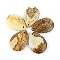 Gioielli ciondoli con gemme, agate, Lacrima, marrone, 36x25x7mm, 5PC/borsa, Venduto da borsa