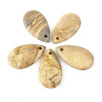 Ювелирные подвески из драгоценных камней, Австралия Джейд, Каплевидная форма, коричневый, 33x19x5mm, 5ПК/сумка, продается сумка