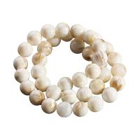 Natürliche Süßwasser Muschel Perlen, Süßwassermuschel, rund, poliert, DIY & verschiedene Größen vorhanden, originale Farbe, Bohrung:ca. 0.5~1mm, verkauft von Strang