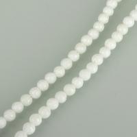 Natural Coral Beads, Round, polished, DIY, white, 6.50mm, Hole:Approx 1.5mm, Approx 65PCs/Strand, Sold Per Approx 15.5 Inch Strand