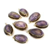 Shell Pendants, Oval, gold color plated, DIY, mixed colors, 15x25~25x35mm, Sold By PC