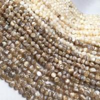 Natural Freshwater Shell Beads irregular random style & DIY 5-6mm Approx 0. Sold By Strand