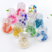 DIY Epoxy Mold Set, Dried Flower, plated, durable, more colors for choice, 44x39mm, Sold By Box
