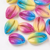 Naturlige Printing Shell Perler, forgyldt, Bæredygtig & mode smykker, flere farver til valg, 20-26mmuff0c13-18mmuff0c5-7mm, 10pc'er/Bag, Solgt af Bag