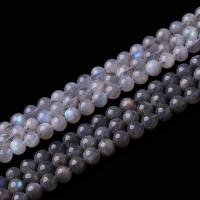 Mondstein Perlen, rund, poliert, DIY & verschiedene Größen vorhanden, keine, verkauft per ca. 15 ZollInch Strang