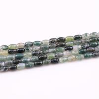 Natural Moss Agate Beads, polished, DIY, 4x6mm, Length:Approx 15.4 Inch, 2Strands/Bag, Approx 65PCs/Strand, Sold By Bag