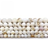 Natural White Shell Beads Round polished DIY white Sold Per Approx 14.2 Inch Strand