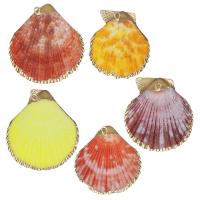 Brass Jewelry Pendants Shell with Brass gold color plated DIY & mixed 31-39x35-47x5-8mm Approx 2mm Sold By Lot