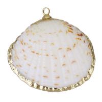 Brass Jewelry Pendants, Shell, with Brass, Shell, gold color plated, DIY, white, 25x7x26mm, Hole:Approx 1.5mm, 20PCs/Lot, Sold By Lot
