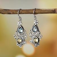 Brass Drop Earring, for woman & with rhinestone, silver color, 30mm, Sold By Pair