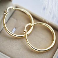 Iron Hoop Earring, fashion jewelry & for woman, more colors for choice, Sold By Pair