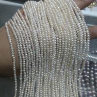 Perles de nacre rondes de culture d'eau douce, perle, naturel, DIY & styles différents pour le choix, plus de couleurs à choisir, 2-3mm, Vendu par 40 cm brin