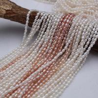 Rice Kulturan Slatkovodni Pearl perle, biser, elipsa, prirodan, prirodni & možete DIY & različitih stilova za izbor, više boja za izbor, 2-2.5mm, Prodano By Strand