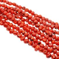Natürliche Korallen Perlen, Koralle, Unregelmäßige, plattiert, DIY, rot, 10-11mm, verkauft von Strang