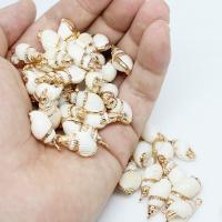 Natural Trumpet Shell Pendants plated DIY 15*20mm Sold By Bag