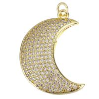 Cubic Zirconia Micro Pave Brass Pendant, plated, fashion jewelry & DIY & with cubic zirconia, nickel, lead & cadmium free, 22x29x5mm, Hole:Approx 3.5mm, 10PCs/Lot, Sold By Lot