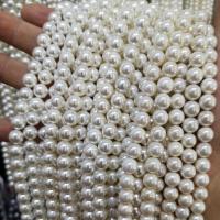 Cultured Round Freshwater Pearl Beads, Shell Pearl, polished, different color and pattern for choice & DIY & more sizes for choice, more colors for choice, 2-14mm, Sold By Strand