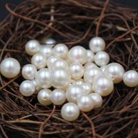 Cultured Half Drilled Freshwater Pearl Beads Round natural & DIY white 2-8mm Sold By PC