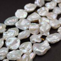 Cultured Baroque Freshwater Pearl Beads irregular Baroque style & natural & DIY white 18-22mm Sold By Strand