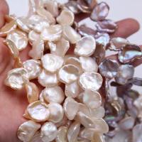 Perles de culture d'eau douce Keishi, perle d'eau douce cultivée, baroque, différentes couleurs et motifs pour le choix & DIY, plus de couleurs à choisir, 13-15mm, Vendu par brin