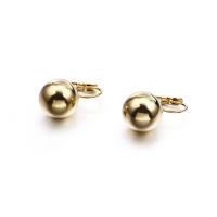 Titanium Steel Lever Back Earring gold color plated & for woman Sold By Lot