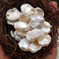 Perles nacres sans trou de culture d'eau douce, perle d'eau douce cultivée, Pétales, Style baroque & DIY & aucun trou, blanc, 15-18mm, Vendu par PC