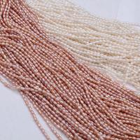 Cultured Rice Freshwater Pearl Beads, Ellipse, natural, DIY & different styles for choice, more colors for choice, 2-3mm, Sold Per 39 cm Strand