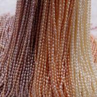 Perlas Arroz Freshwater, perla, elipse, natural, Bricolaje & diferentes estilos para la opción, más colores para la opción, 2-3mm,, Vendido para 37 cm Sarta