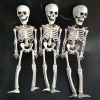 Plastic Skull Decoration, Skeleton, injection moulding, Halloween Jewelry Gift, white, 400*120*55mm, Sold By PC
