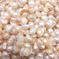 Cultured No Hole Freshwater Pearl Beads irregular DIY mixed colors 8mm Sold By Bag