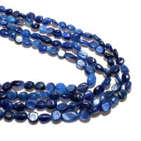 Gemstone Jewelry Beads Kyanite irregular natural DIY blue 6*8mm Approx Sold By Strand