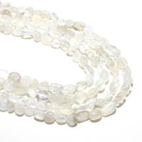Perles Pierre de lune, Moonstone, naturel, DIY, blanc, 6*8mm, Environ 48PC/brin, Vendu par brin