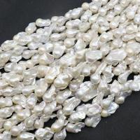 Perles nacres baroques de culture d'eau douce , perle, Irrégulière, poli, naturel & DIY, 18-35,14-20mm, Vendu par 38 cm brin