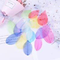 Mobile Phone DIY Decoration, Dried Flower, plated, fashion jewelry & for woman, more colors for choice, 5-8CM, 6PCs/Bag, Sold By Bag