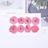 Celular Kit DIY, Flores secas, Rose, banhado, joias de moda & para mulher, Mais cores pare escolha, 2.5-4cm, 8PCs/Bag, vendido por Bag