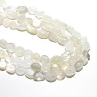 Perles Pierre de lune, Moonstone, ellipse, naturel, DIY, blanc, 8-10mm, Environ 36PC/brin, Vendu par brin