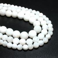Grânulos de rocha lunar, Selenita, elipse, naturais, DIY, branco, 6mm, vendido por Strand
