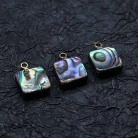 Natural Abalone Shell Pendants, polished, DIY & different styles for choice, more colors for choice, 10mm,, Sold By PC