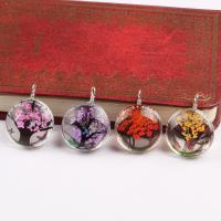 Inner Flower Lampwork Pendants, with Dried Flower, Round, DIY, mixed colors, 11x20x26mm, 5Strands/Bag, Sold By Bag