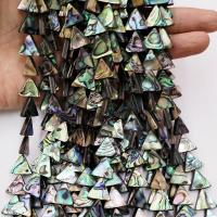 Seeohr Muschelperlen, Dreieck, poliert, unterschiedliche Farbe und Muster für die Wahl & DIY, keine, 14mm, verkauft von Strang