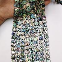 Abalone Shell Beads Heart polished & DIY 12uff0c14mm Sold By Strand